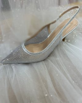 Zapato PLATA