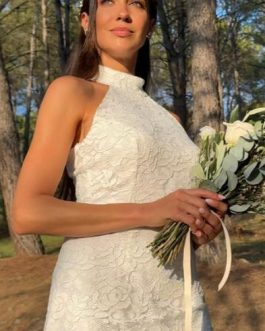 Modelo DIVINA